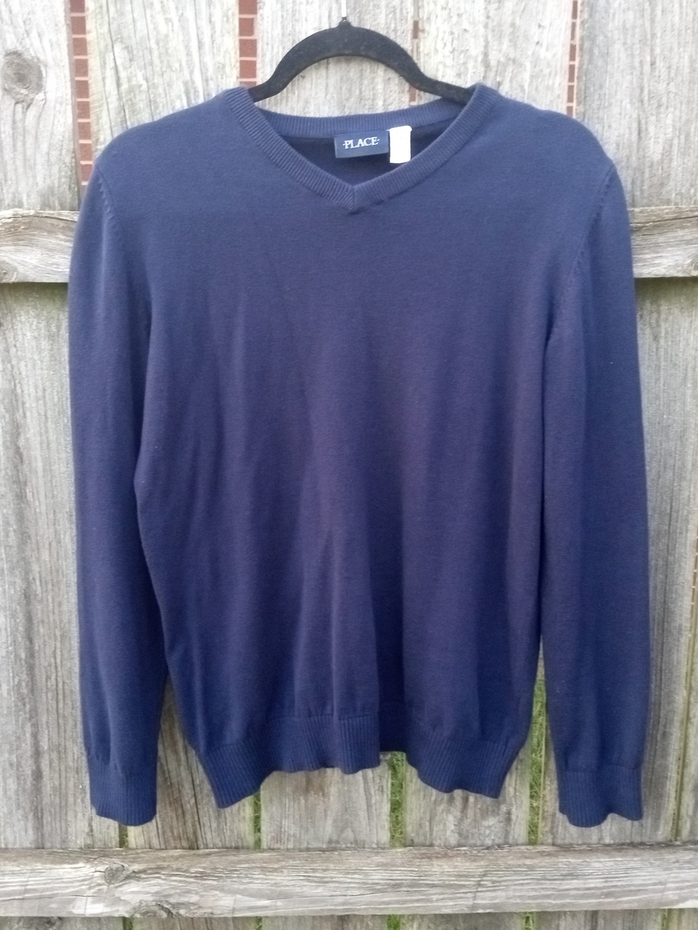 Place Men's Navy V-Neck Sweater